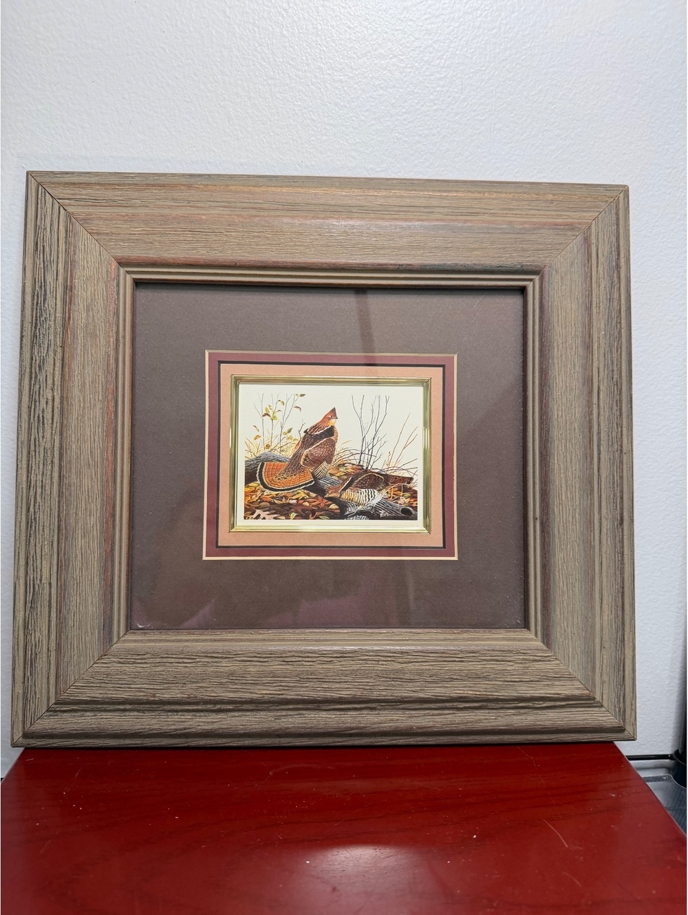 Pair of Custom Framed Bird Prints by Somerset Studios